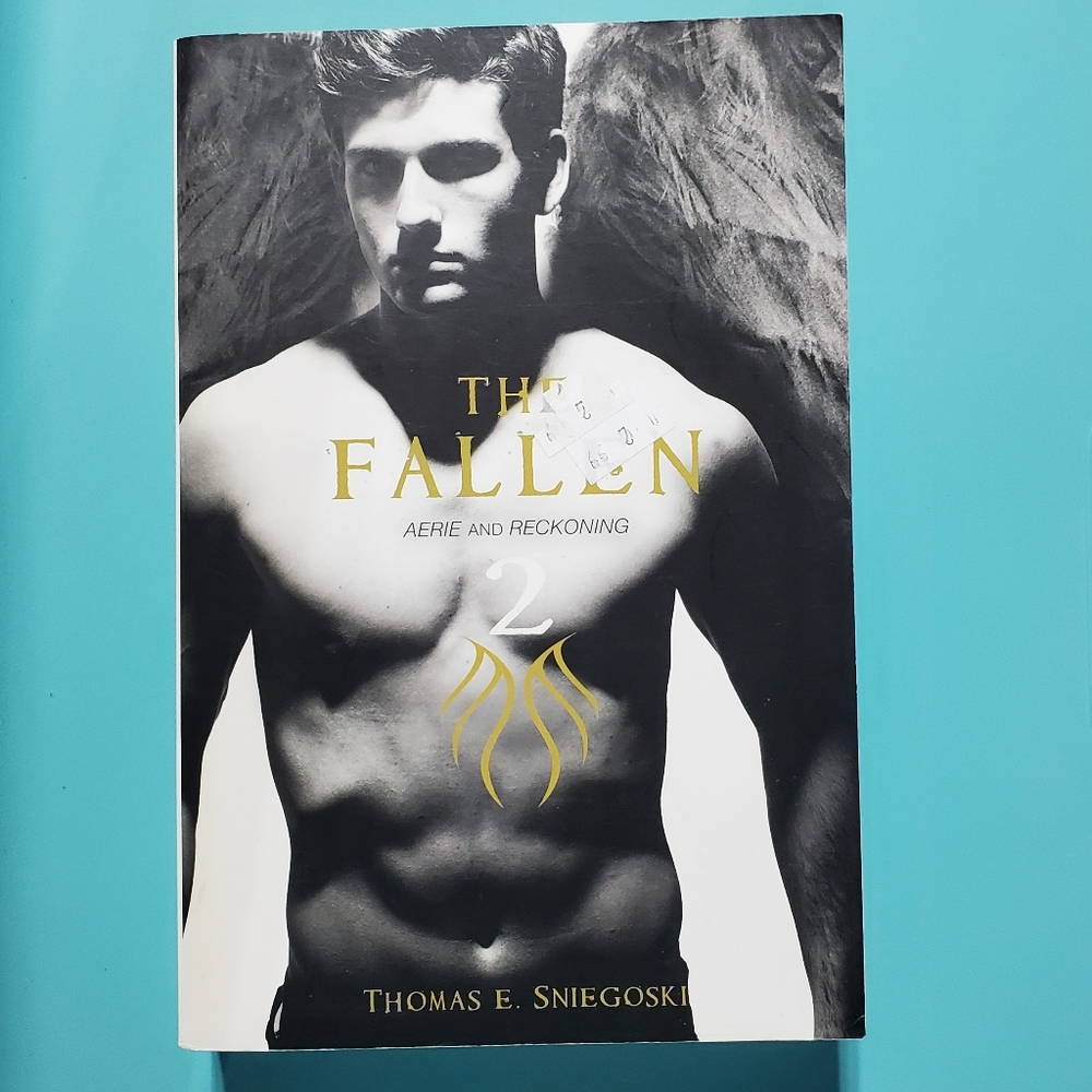 4/$20 The fallen book